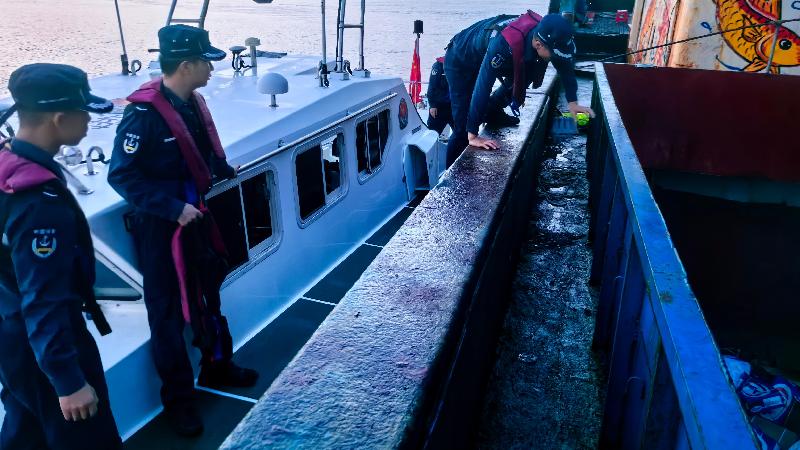 26人当场被抓！案值超700万元！浙江温州海警查获一起涉嫌走私冻品案