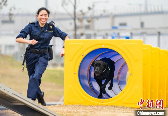 世界海关组织地区犬只训练中心在香港投用