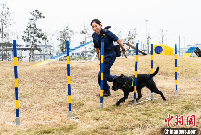 世界海关组织地区犬只训练中心在香港投用