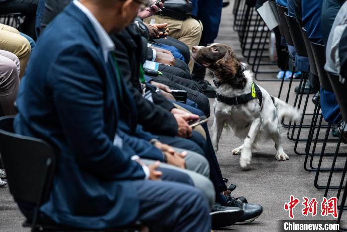 世界海关组织地区犬只训练中心在香港投用