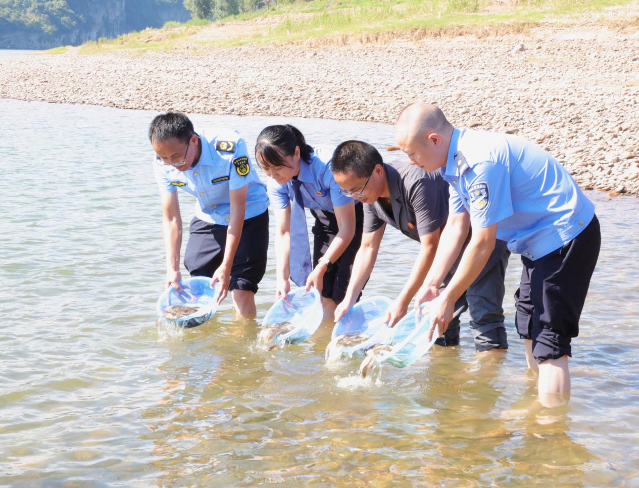 湖南泸溪检察：增殖放流 55万余尾鱼苗游入沅江