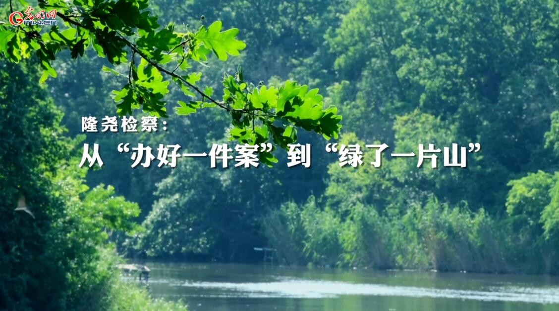 河北隆尧检察：从“办好一件案”到“绿了一片山”