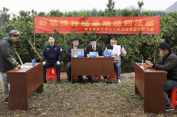 广西南宁西乡塘区人民法院：开展多元解纷促进基层社会治理