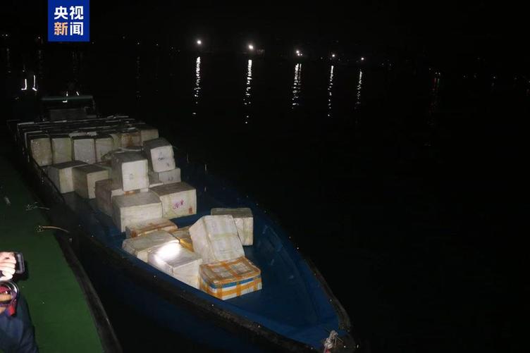 共计4.13吨!广西北海海警查获一起涉嫌走私水果案