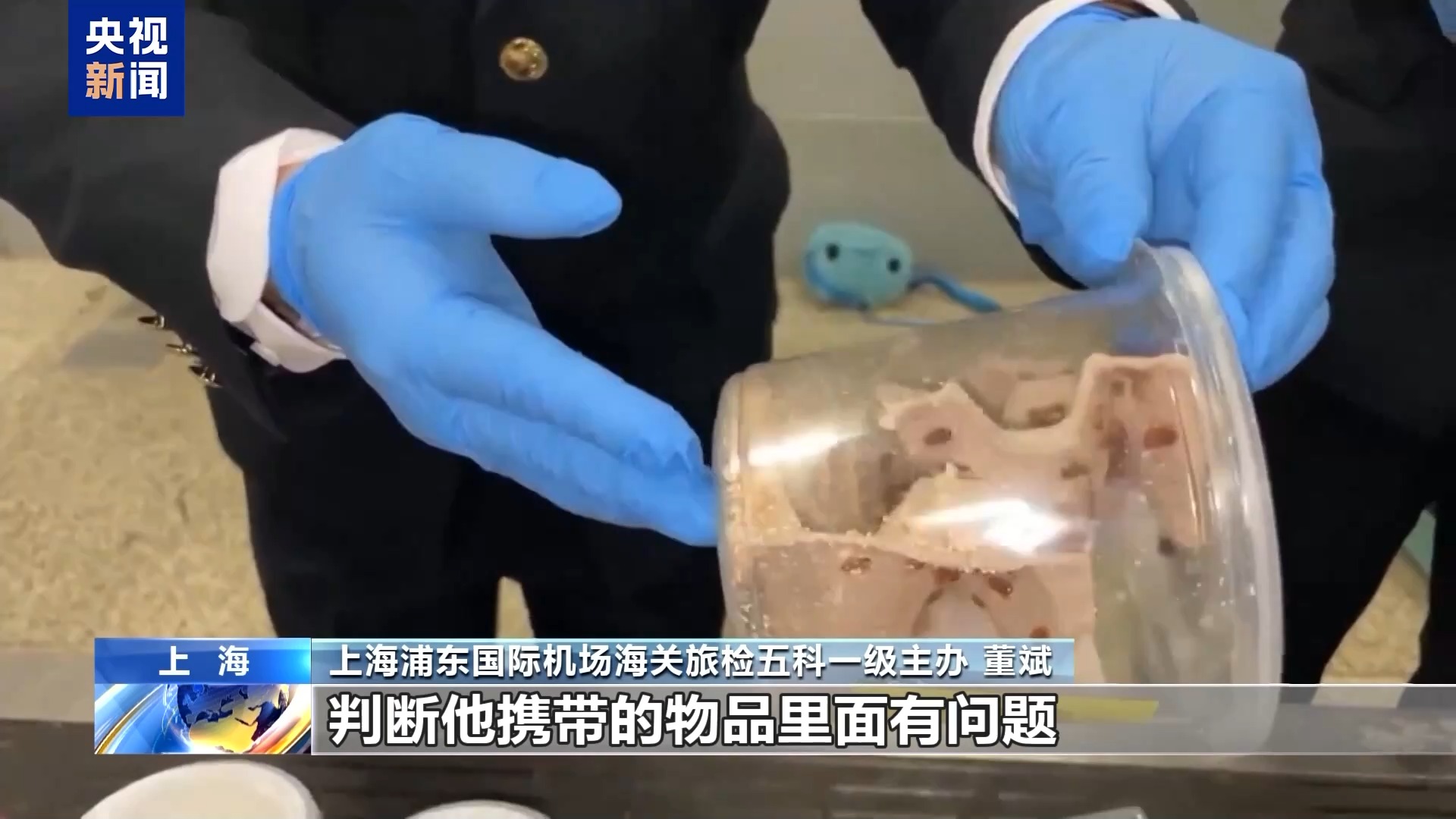 36只蜈蚣闯关?上海海关拆穿“塑料摆件”陷阱