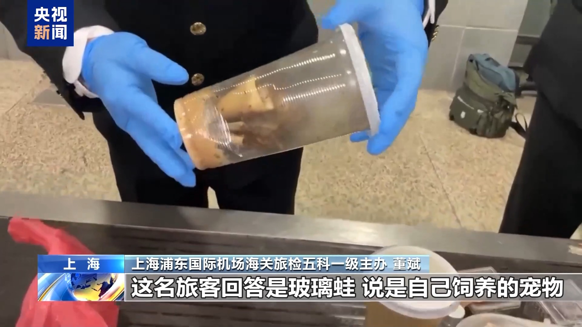 36只蜈蚣闯关?上海海关拆穿“塑料摆件”陷阱