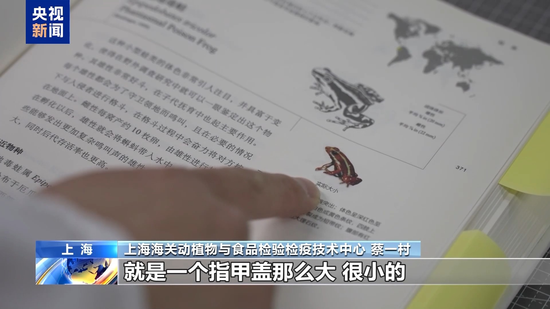 36只蜈蚣闯关?上海海关拆穿“塑料摆件”陷阱