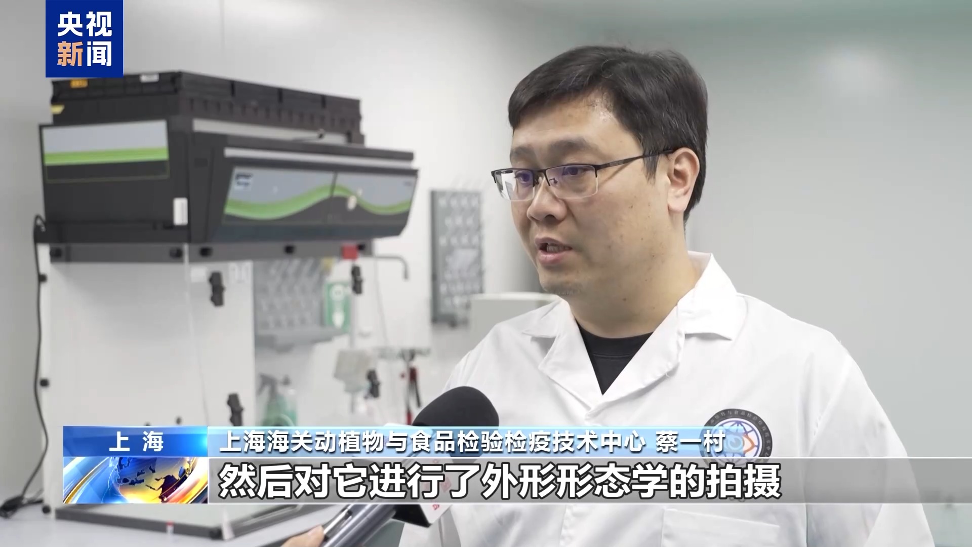 36只蜈蚣闯关?上海海关拆穿“塑料摆件”陷阱