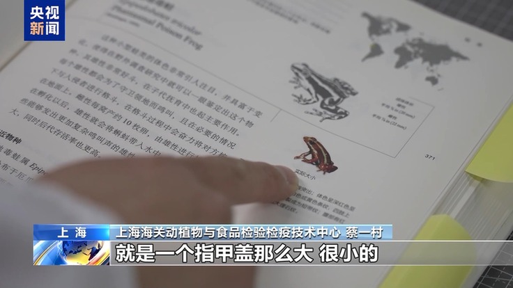 36只蜈蚣闯关?上海海关拆穿“塑料摆件”陷阱