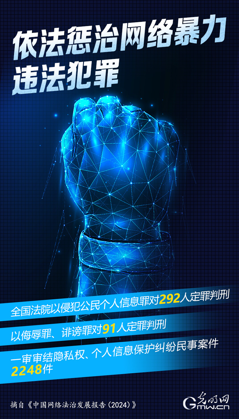 数读海报｜从数据视角看2024年中国网络法治发展
