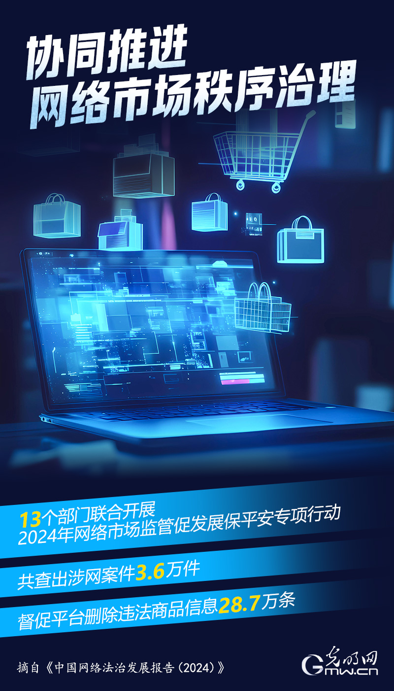 数读海报｜从数据视角看2024年中国网络法治发展