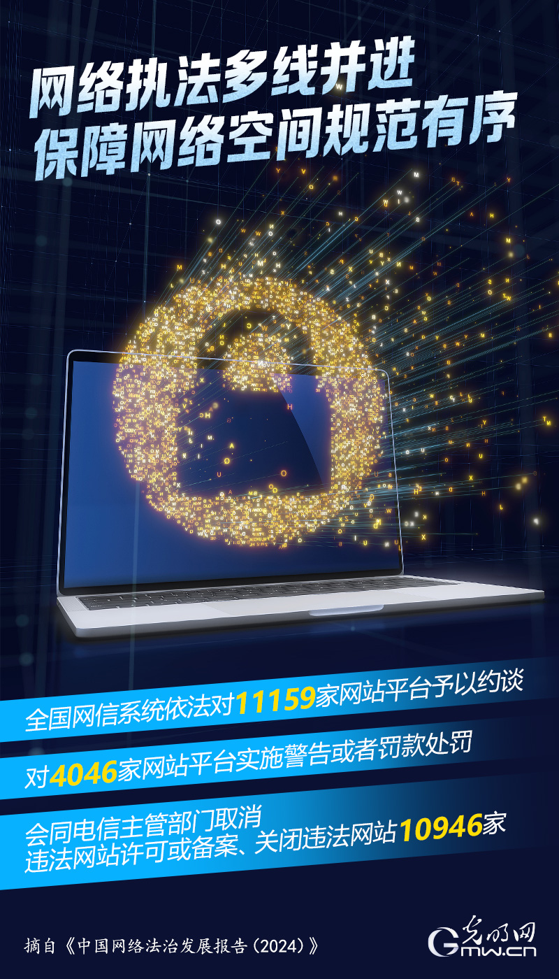 数读海报｜从数据视角看2024年中国网络法治发展
