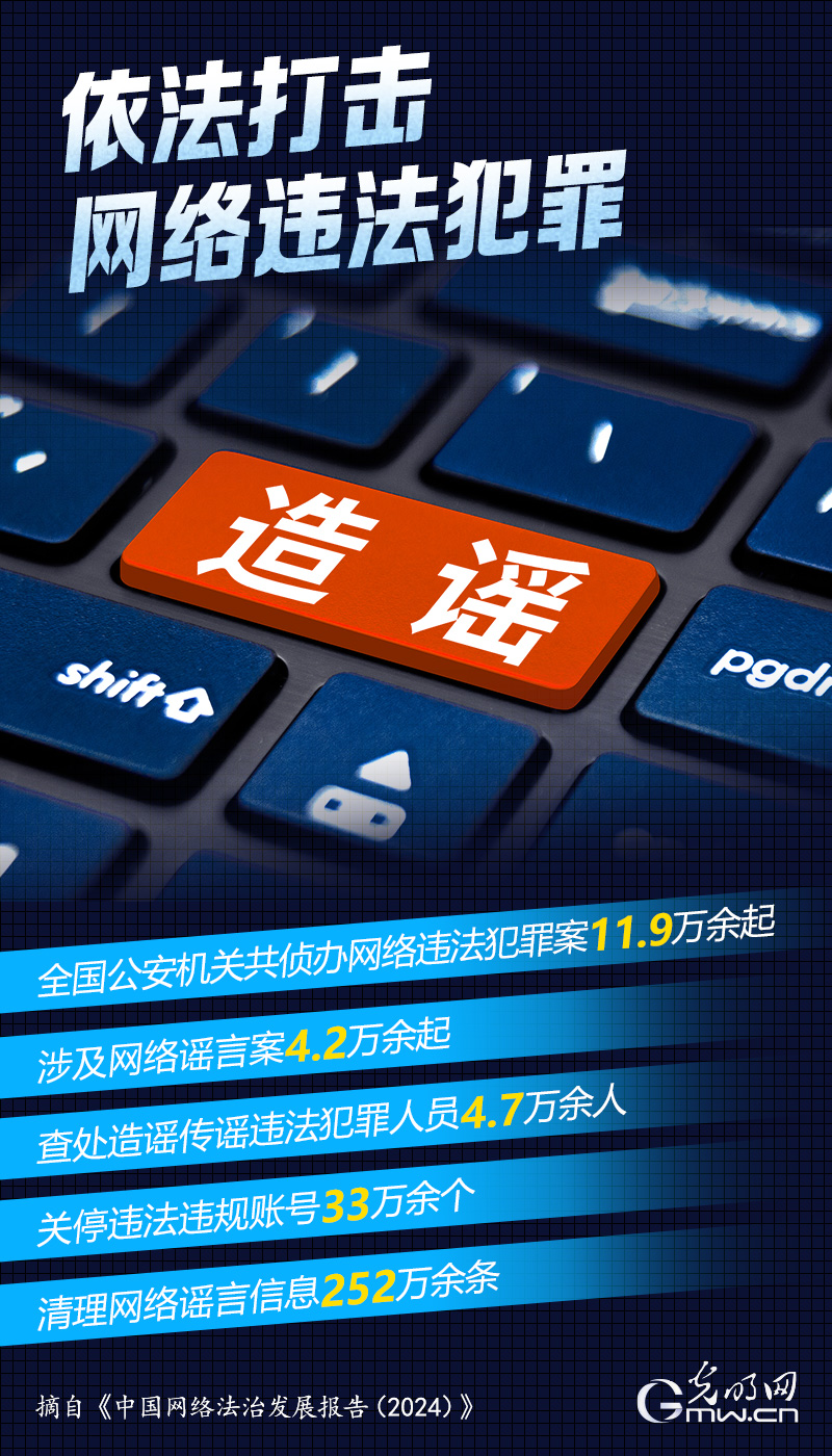 数读海报｜从数据视角看2024年中国网络法治发展