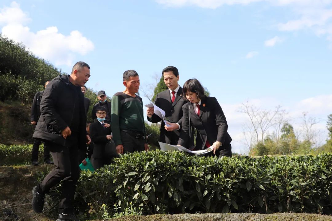 福鼎法院：“1+2+3”模式，绘就营商环境新图景