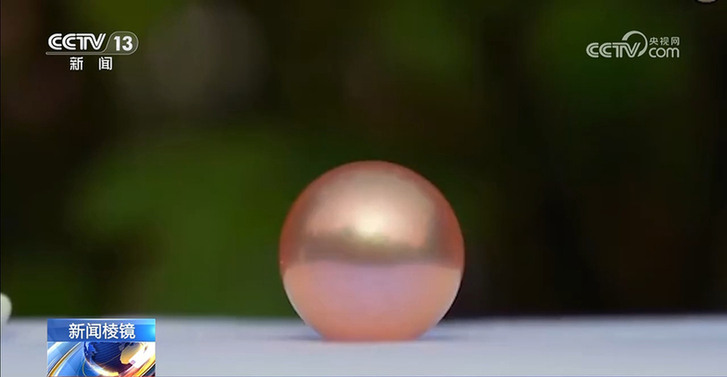 直播开蚌藏“套路消费”:号称捡漏拉抬人气 开蚌取珠暗藏手法