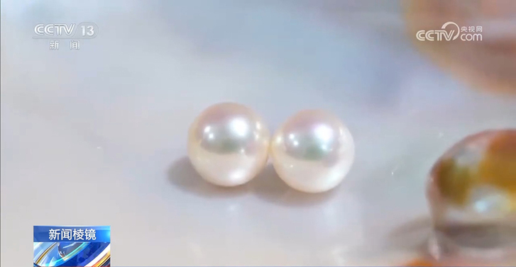 直播开蚌藏“套路消费”:号称捡漏拉抬人气 开蚌取珠暗藏手法