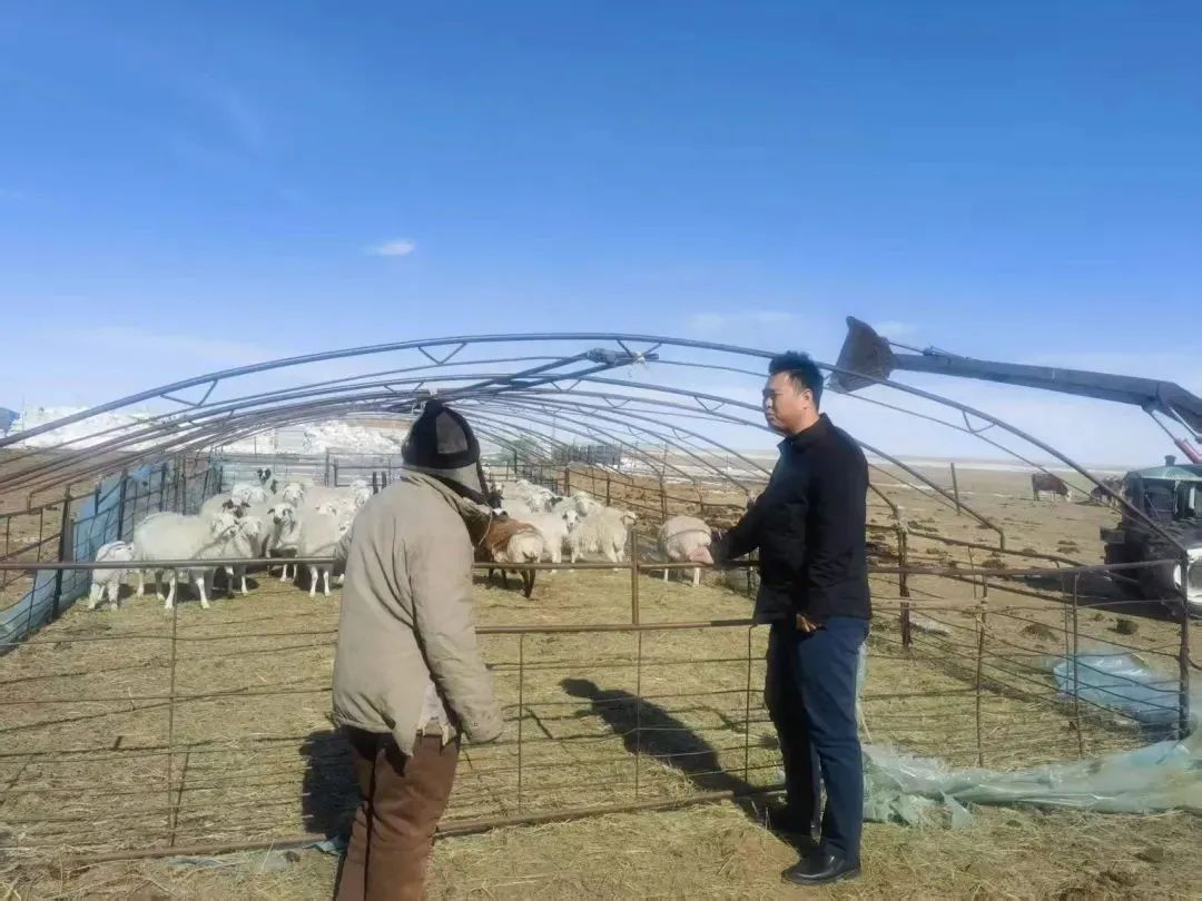 内蒙古青年律师到司法所实践锻炼实现全覆盖