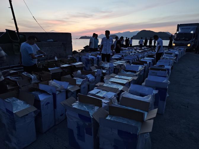 案值逾500万！福建宁德海警局查获一起涉嫌走私香烟案