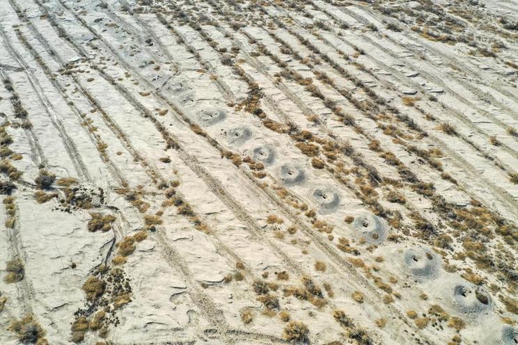 为文物筑起“司法防线”:中国公益诉讼助力守护丝路文明