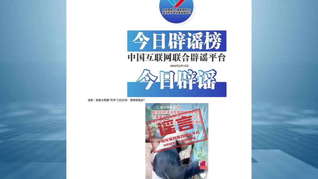新华视点丨国宝之“伤”:“大熊猫被虐待”网络谣言案调查