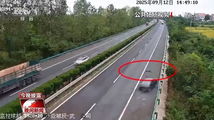 后排乘车可以不系安全带？交通驾驶避开这些误区