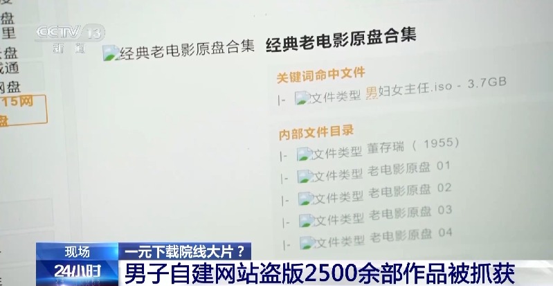 1元下载院线大片?起底盗版网站背后的百万灰产