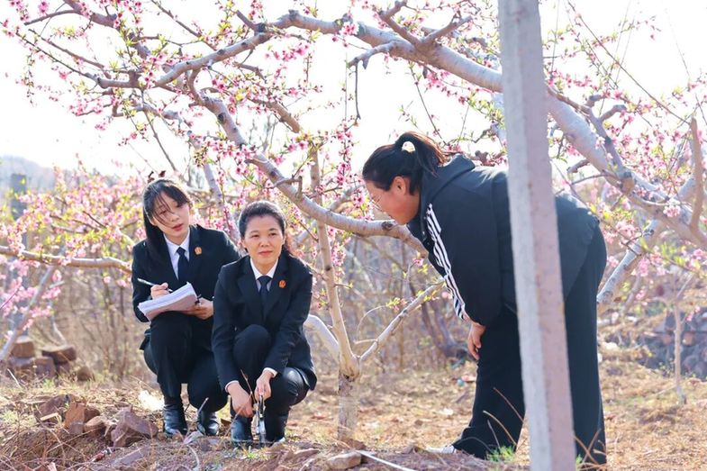葛倩:她让自己活成一束光