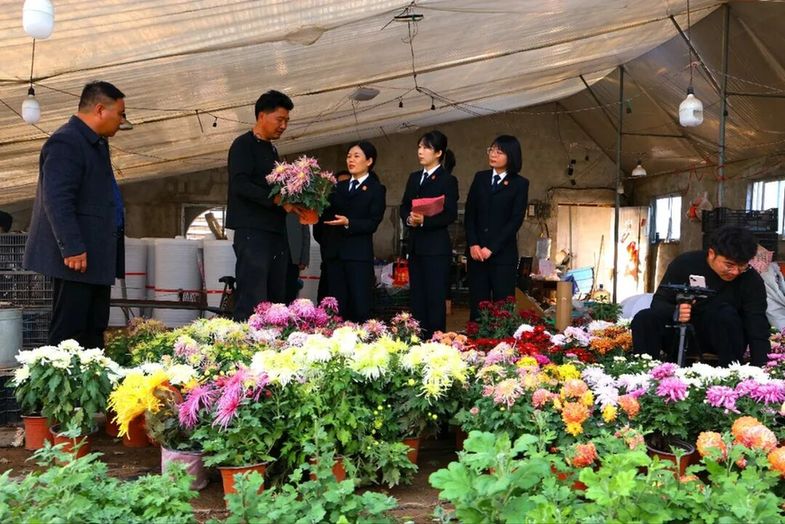 葛倩:她让自己活成一束光