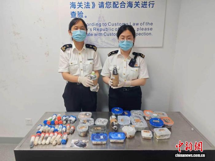上海海关三年截获“异宠”近2.2万只