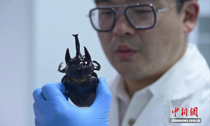 上海海关三年截获“异宠”近2.2万只