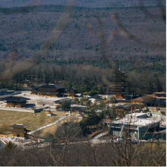 法轮殇：“法轮功”美国高管苏静肾癌病亡