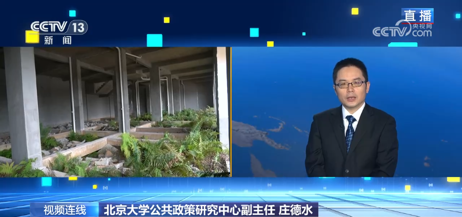新闻1+1丨盲目建设致140亩“瑶汉养寿城”烂尾 如何整改?