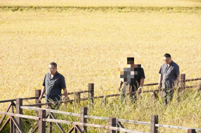 【护航“丰收节”】司法“魔法棒”化解田埂“恩怨咒” 【护航“丰收节”】司法“魔法棒”化解田埂“恩怨咒”