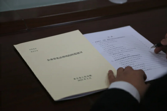 营商环境的县域解法：一家基层法院的司法“最优解”