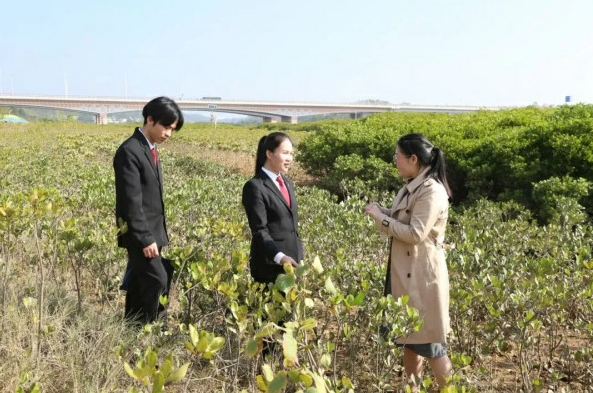 广西人大代表赵丽娟：手握民意话筒，心惦司法天平