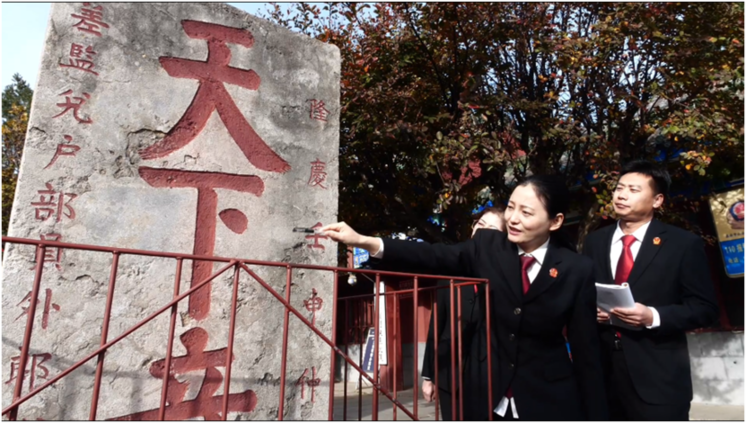 司法护绿行 齐鲁青未了——山东法院以司法之笔绘就绿水青山齐鲁画卷