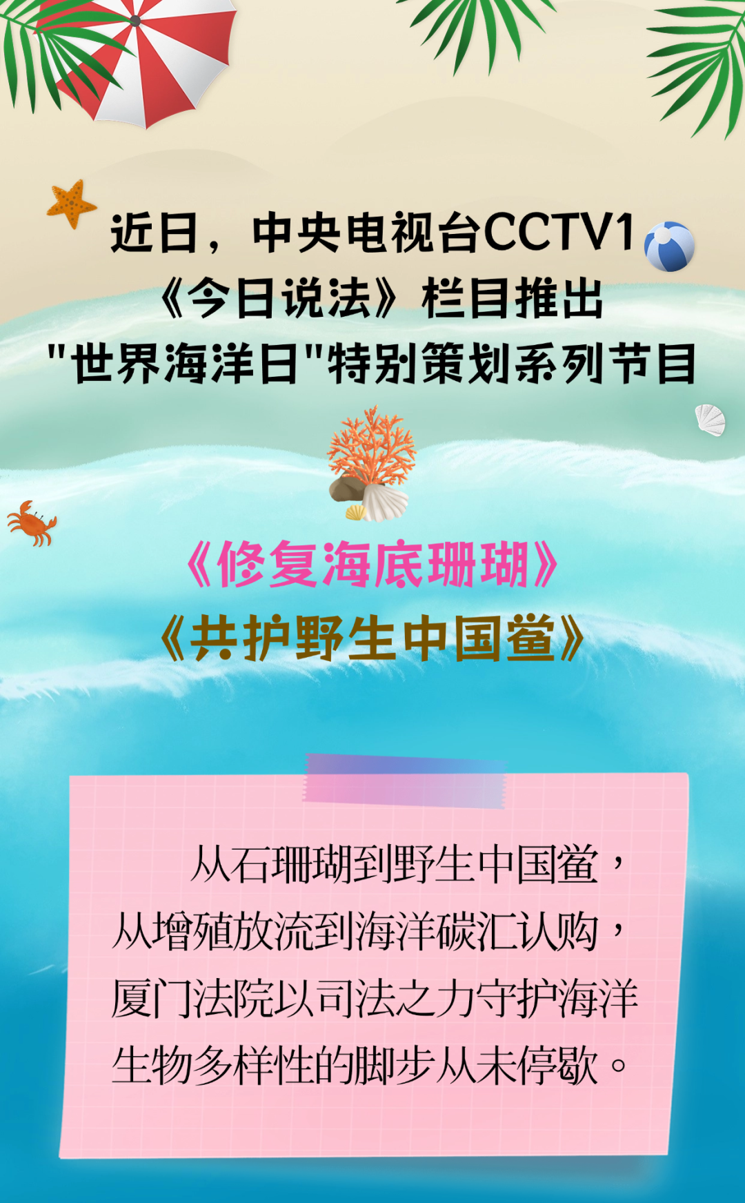 央视《今日说法》热播!聚焦厦门生态司法